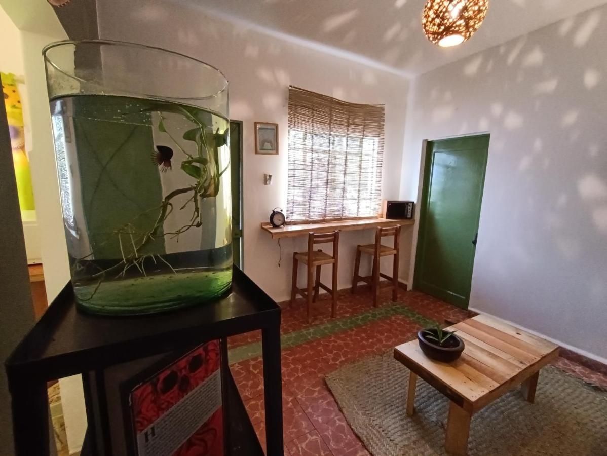 Posada Casa Mexicana Jamaica Città del Messico Esterno foto